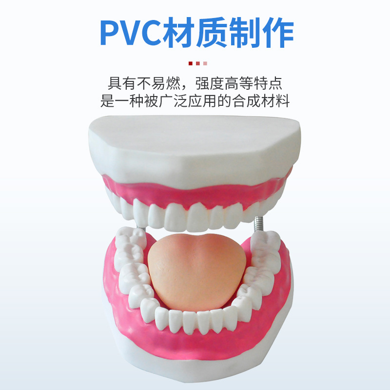 ����������ģ�ʹ����������ѧģ�� 6���Ŵ� ��ǻ������ģ��