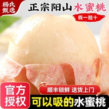 正宗无锡阳山水蜜桃子新鲜水果应当季整箱兑换卡毛白凤礼盒旗舰店