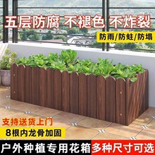 ����ľ����̼���Ӻ�Nֲ��ľ�����̨ͥԺ�����L���λ��ۻ���N��