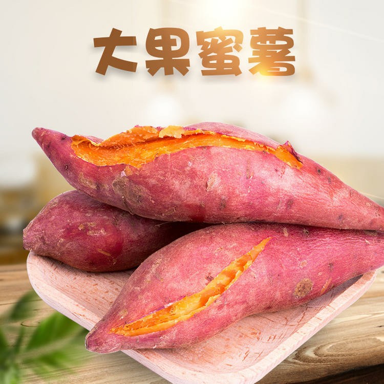 福建六鳌蜜薯沙地红糖心地瓜农家自种新鲜板栗香番薯