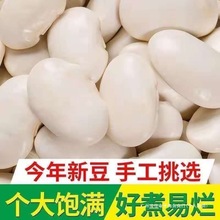 豆大白腰云豆粗粮新鲜白芸豆无硫大干货芸豆白豆雪豆500g大豆新货