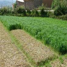 �M�����ݷN���Ϸ������������ݷN�ѱ����ͺ��ϻ���ޣ�����ļ��Bֳ