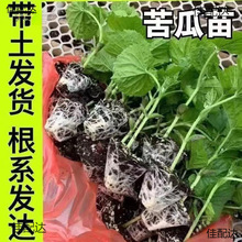 �����߮a����G����玧����������ϷN�Ӵ����߲����