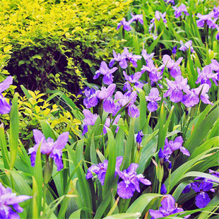 �{���Sβ�N���{�������񻨵��Sβ�Sβ��������N���͝�����޸�