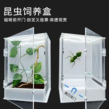 磁吸螳螂亚克力对开门饲养盒活体昆虫爬虫鸣虫跳蛛饲养箱网箱厂家