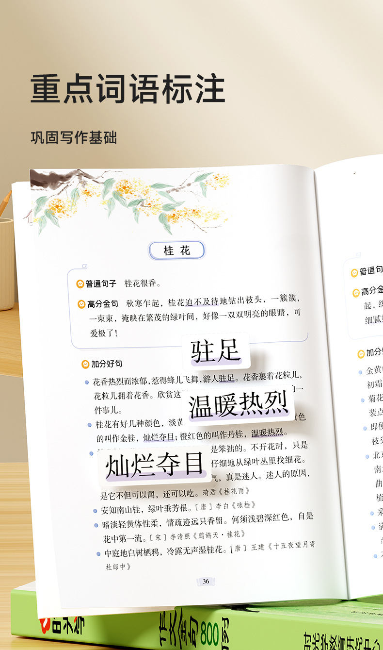 详情图