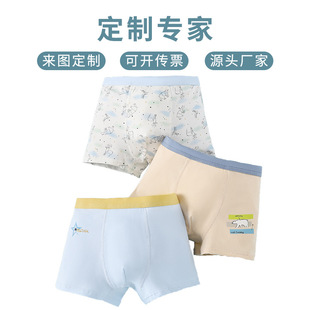 Customized Oem Boys' Underwear Pure Cotton Kidsren's Underwear Men's and Large Kidsren's Cartoon Baby Boy Boxer Briefs Source Manufacturer