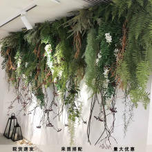 ���l����Gֲ��˹�Dާ�ڒ��c�ưɲ͏d�����b���ķ��洹��ֲ��