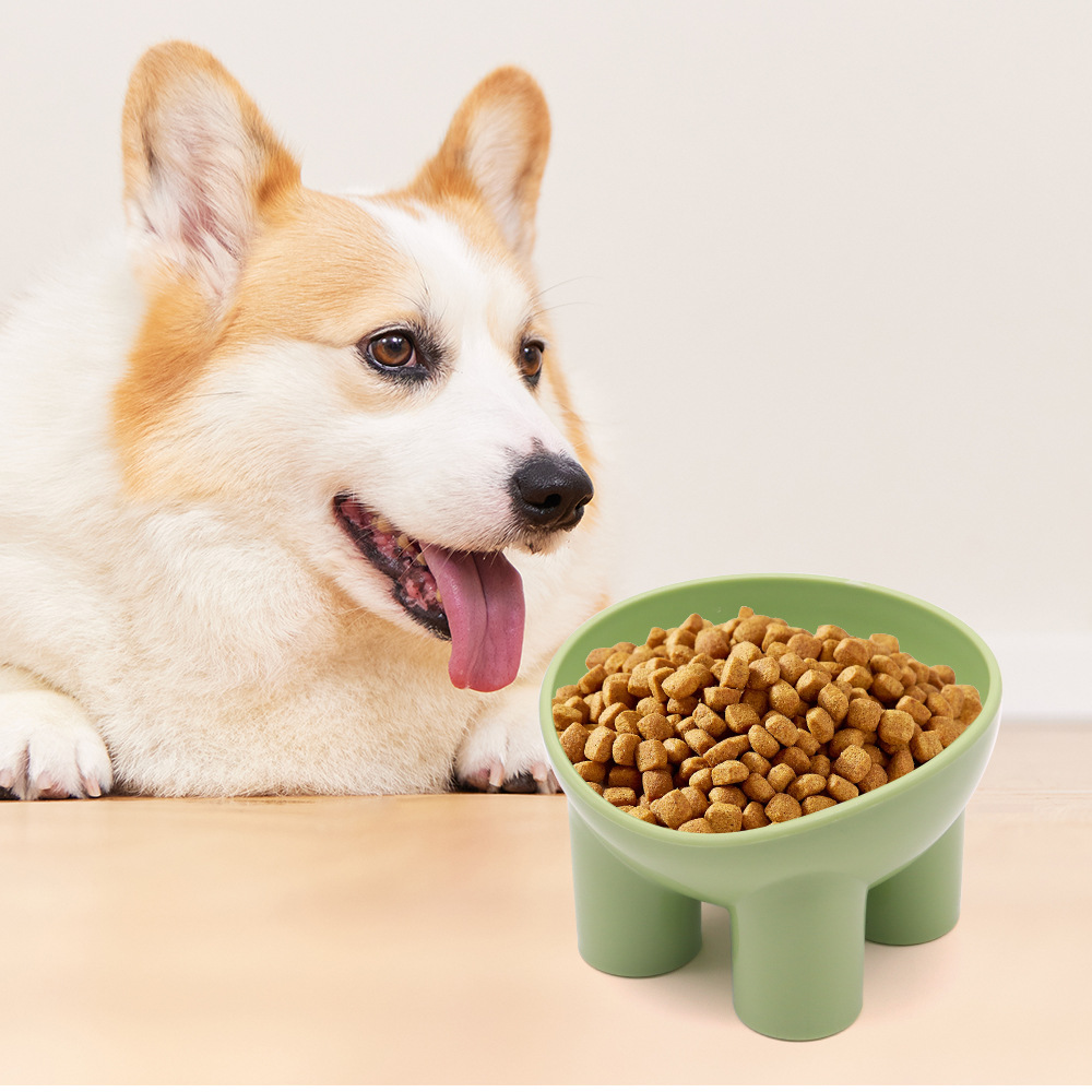 Tazón para gatos de boca oblicua Tazón para patas de elefante Tazón para mascotas Tazón de arroz para gatos Cuello protector Tazón para gatos Tazón para beber Tazón para cachorros al por mayor