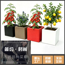 OEM����304���P䓻����̨���ͥԺ����Nֲ���߲˽M�ϷNֲ����