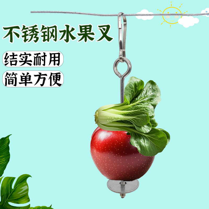 Parrot Bird Fruit Fork Stainless Steel Parrot Birdcage Accessories Hook Foraging Feeder Toy Squirrel Bird Supplies