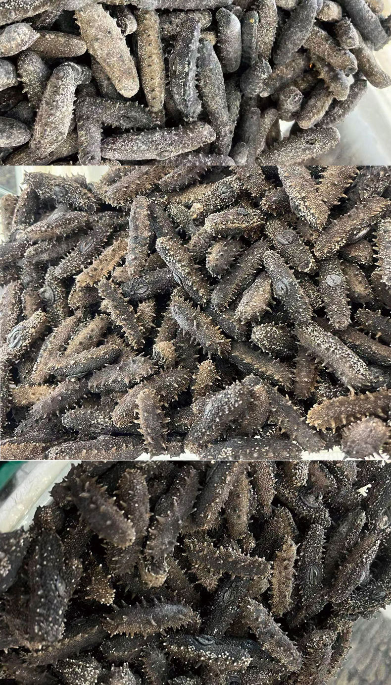 Dalian Lightly Dried Sea Cucumber 8 Year Liaoning Dried Sea Cucumber 50g Gift Box in use