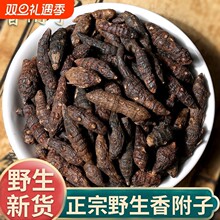 Ұɽ�㸽���㸽���㸽Ƭ��Ƥ�㸽Ƭ�׹��^���㸽��؛��؛