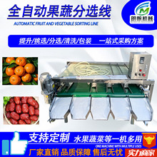 百香果分级设备 苹果土豆南瓜清洗风干生产线 水果蔬菜挑选大小线