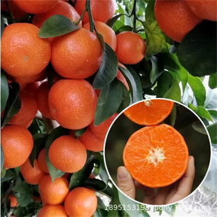 �ʵ۸��㙴���ǽ�ۘ䎧��ͥԺ�������Ә��̨���Խۘ��箔��Y��