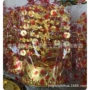 各种殡葬镀金340摇钱树