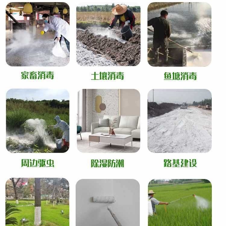 生石灰粉10斤干燥杀菌消毒除湿防潮防霉吸水净种菜杀虫驱除臭刷树|undefined