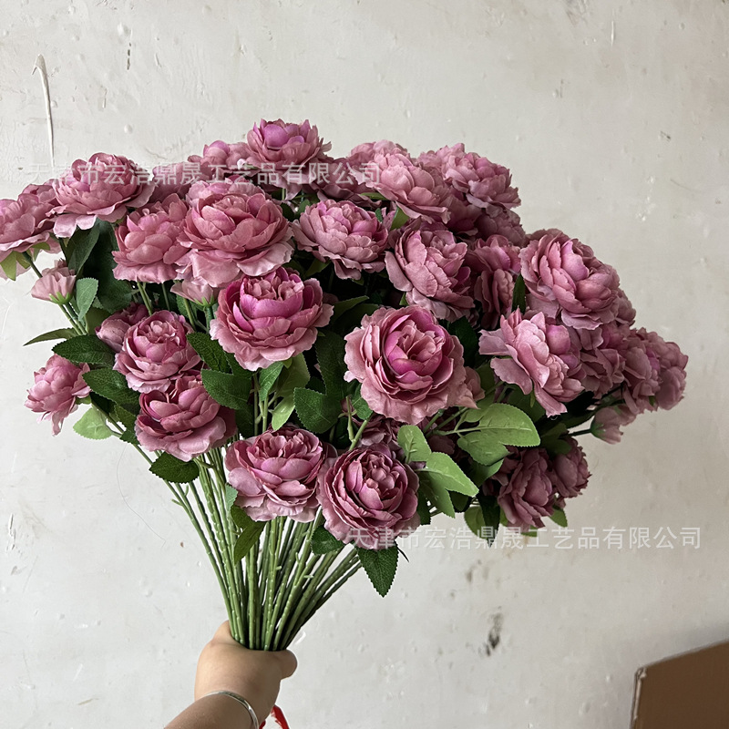 콩 페이스트 보라색