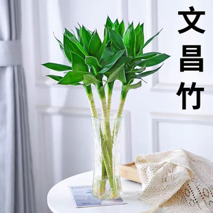 �Ĳ��񎧸��^���ɻ����F��ˮ���B�辰ֲ���҃��^��4֧�x������