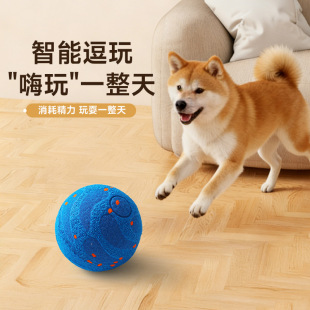 �羳�¿�������ҧ����ETPU����늄ӏ������ﻥ�ӹ��������