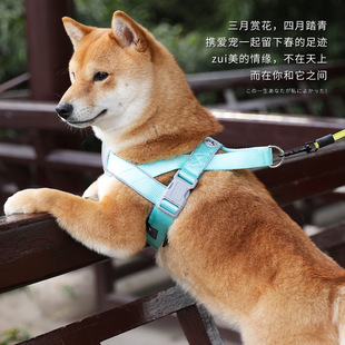 �羳���l�F؛������K�ر����Ȧ���������͸��ʽ����һ�����l