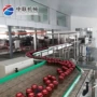 自动生产辣椒酱设备设备