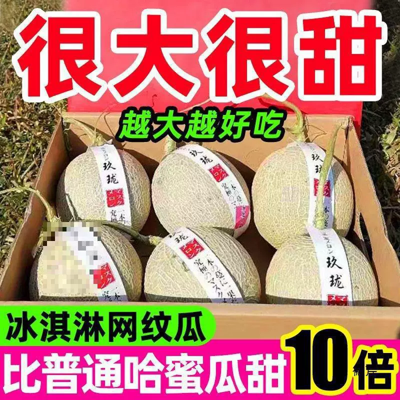 Дыня, дыня-медовая, дыня-канталупа, хайнаньское мороженое, сезонные свежие фрукты, дыня-Шицусука.