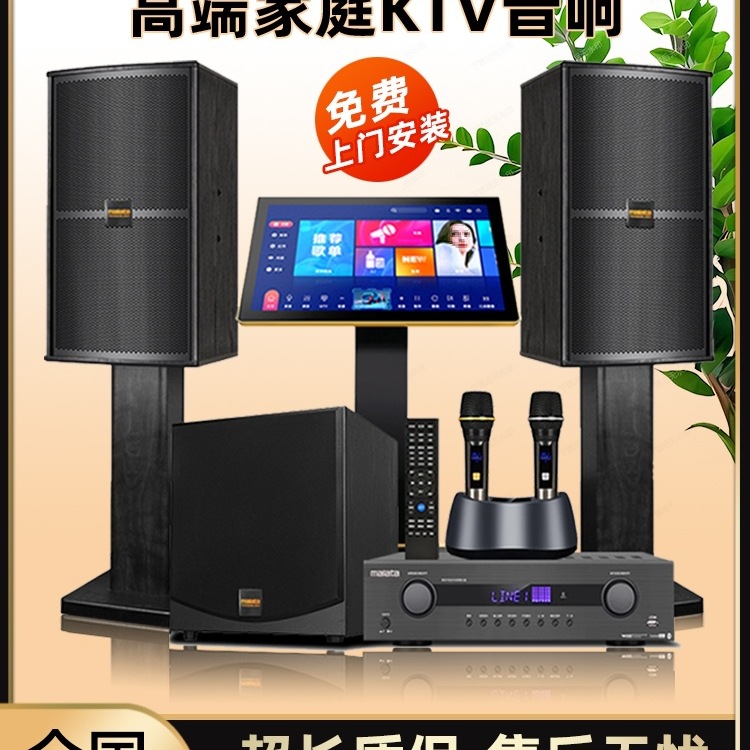 Home Ktv Audio Set Home Karaoke Living Room Theater Speaker Tv Projector Karaoke Machine