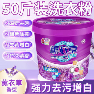 Lavender Washing Powder Wholesale 25kg Large Barrels with Long-Lasting Fragrance and Decontamination for Commercial Use