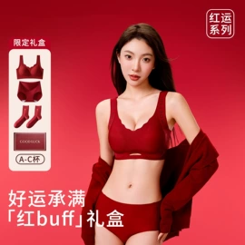 保暖套装;无钢圈文胸;女士家居服