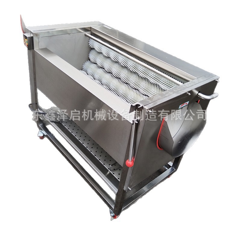 Máquina de limpieza de cepillo de materiales medicinales chinos, máquina de limpieza de barro y pelado de verduras comerciales, limpiadora de caracoles, limpiadora de caracoles de mar image 6