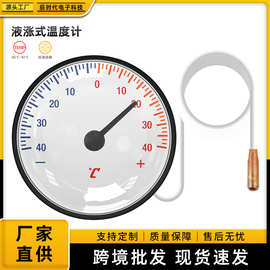 便携式高精度室内家用带探头液涨式-40°—40°指针水温计温度计