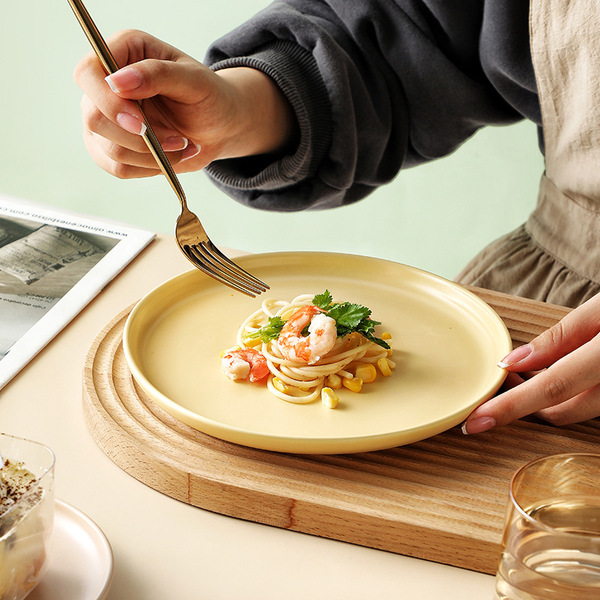 ceramic dinner plate for home use
