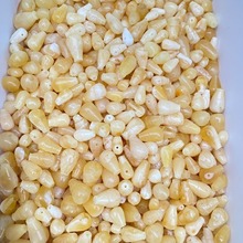 厂家直营松岗原矿俄料蜜蜡白花蜜蜡三通琥珀白花三通天然文玩配饰