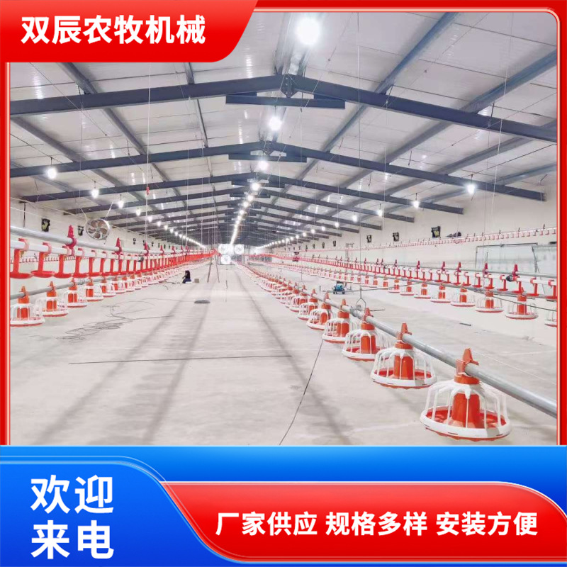 养鸡水线料线设备 自动喂料喂水设备 家禽养殖设备肉鸡喂养料线