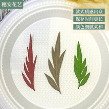 �S�����~����~ֲ��˱��׃��@�H���ֹ�diy�ɻ�����Ѻ���NĘ�b�