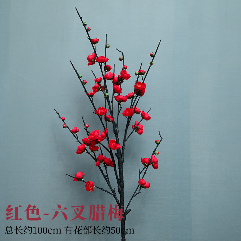 여섯 갈래의 붉은 윈터스윗