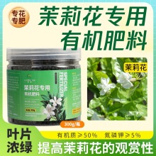 洛圣茉莉花专用肥垂丝茉莉防治干枯黄叶促开花叶片鲜绿颗粒缓释肥