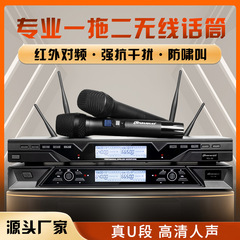 メーカー直販の無線マイクは二段の家庭用舞台KTVで歌います。