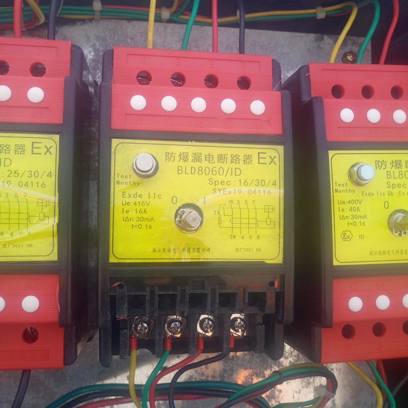 BLD8060/ 1DSPEC30 防爆漏电断路器