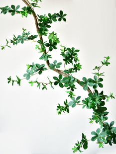 ���~�ٗl�Gֲ�ٻ��ٿ��{���b��ړ������������ֲ��G�~