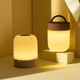 小夜灯;阅读台灯;创意台灯