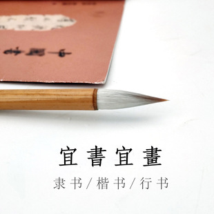 ��֮�}���������п��W�￬��ë�P���W������֮�Е��}�����ÚW��