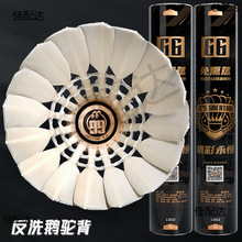 ����G6��ë���ʹ����Zë���^���I����Ӗ����ِ����12ֻ�b�w�з���