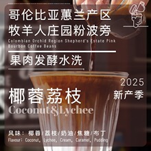 玩豆25新产季哥伦比亚粉波旁AA椰蓉荔枝奶油焦糖布丁咖啡生豆