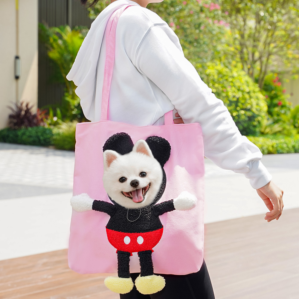 Mascotas para gatos bolsas de viaje al por mayor bolsas para perros y gatos bolsas de mano para perros pequeños salientes bolsas de hombro para perros