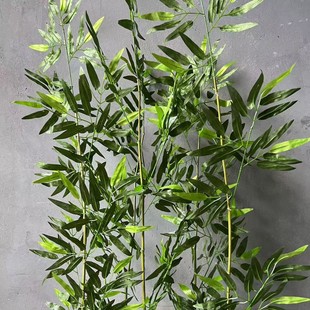 ��������ë��ˮ������ʽ�҃���Ҿӻ�c����Gֲ�쾰�b�����