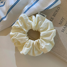 �nϵins�tɫ���c�lȦŮ2025�¿�߼��г���̖���Rβ���^�l��^�K