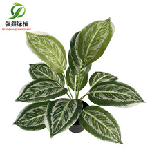 ������f���� �Gֲ�����辰ֲ�����^�z�~�ָ��~�G�}�~���z��