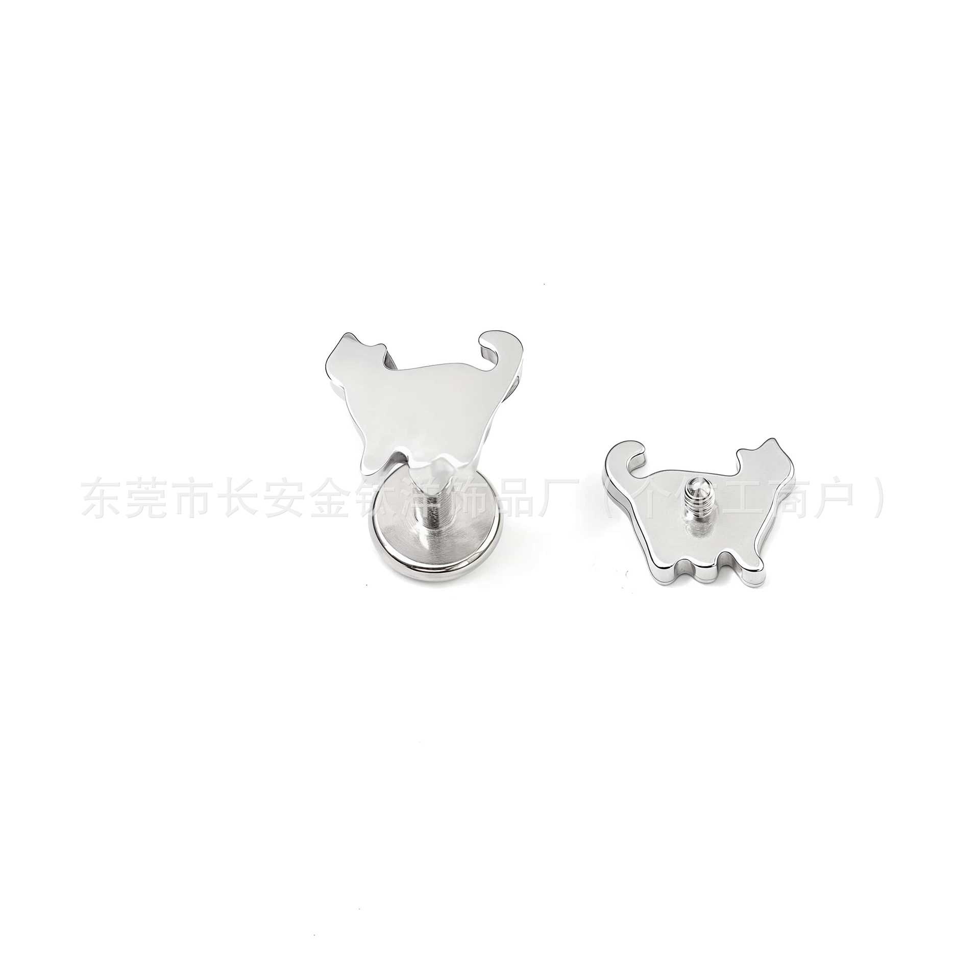 Pointed titanium steel lip stud product view